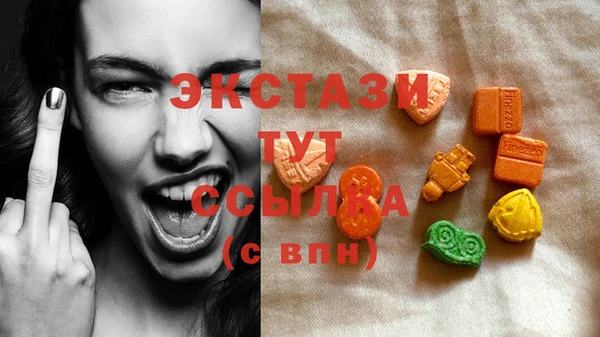 спиды Вяземский